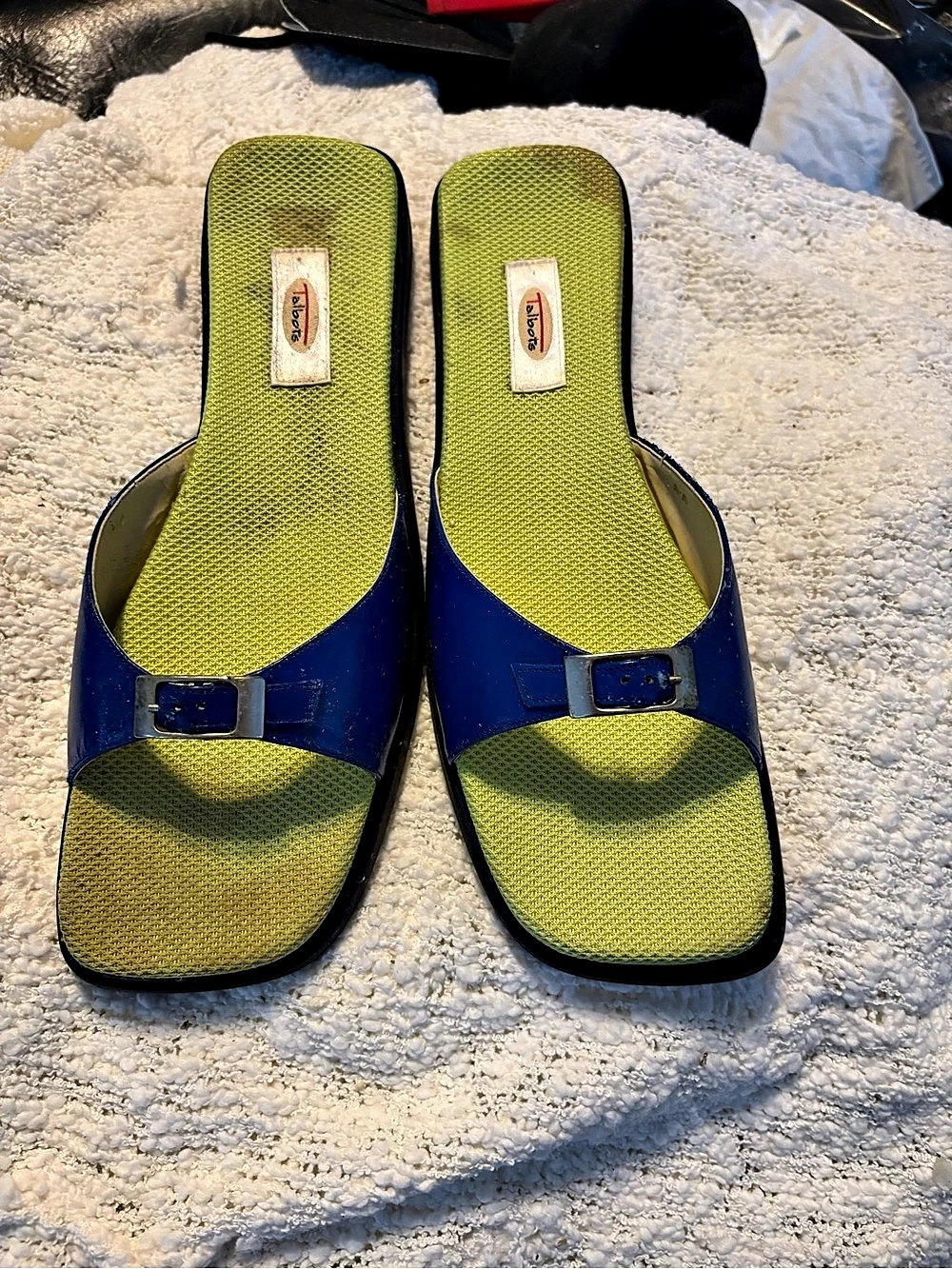 Talbots Exact Buckle Sandals in Blue & Green US 9.5 N